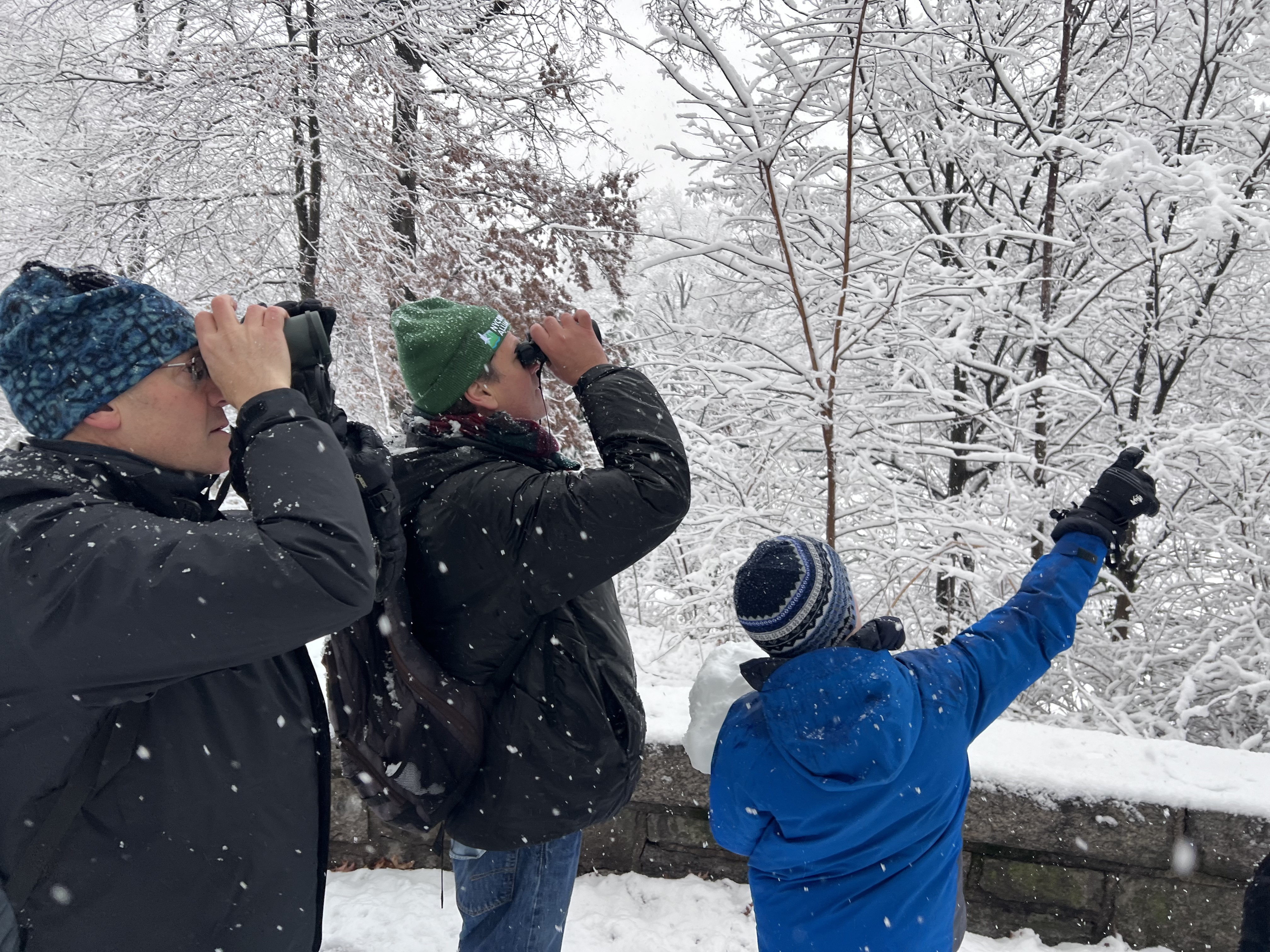 2025 Christmas Bird Count participants tallying birds at the Great Lawn in Central Park. Photo: NYC Bird Alliance