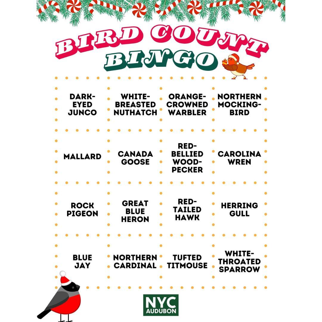 Christmas Bird Count Bingo Card C. Graphic by NYC Bird Alliance.
