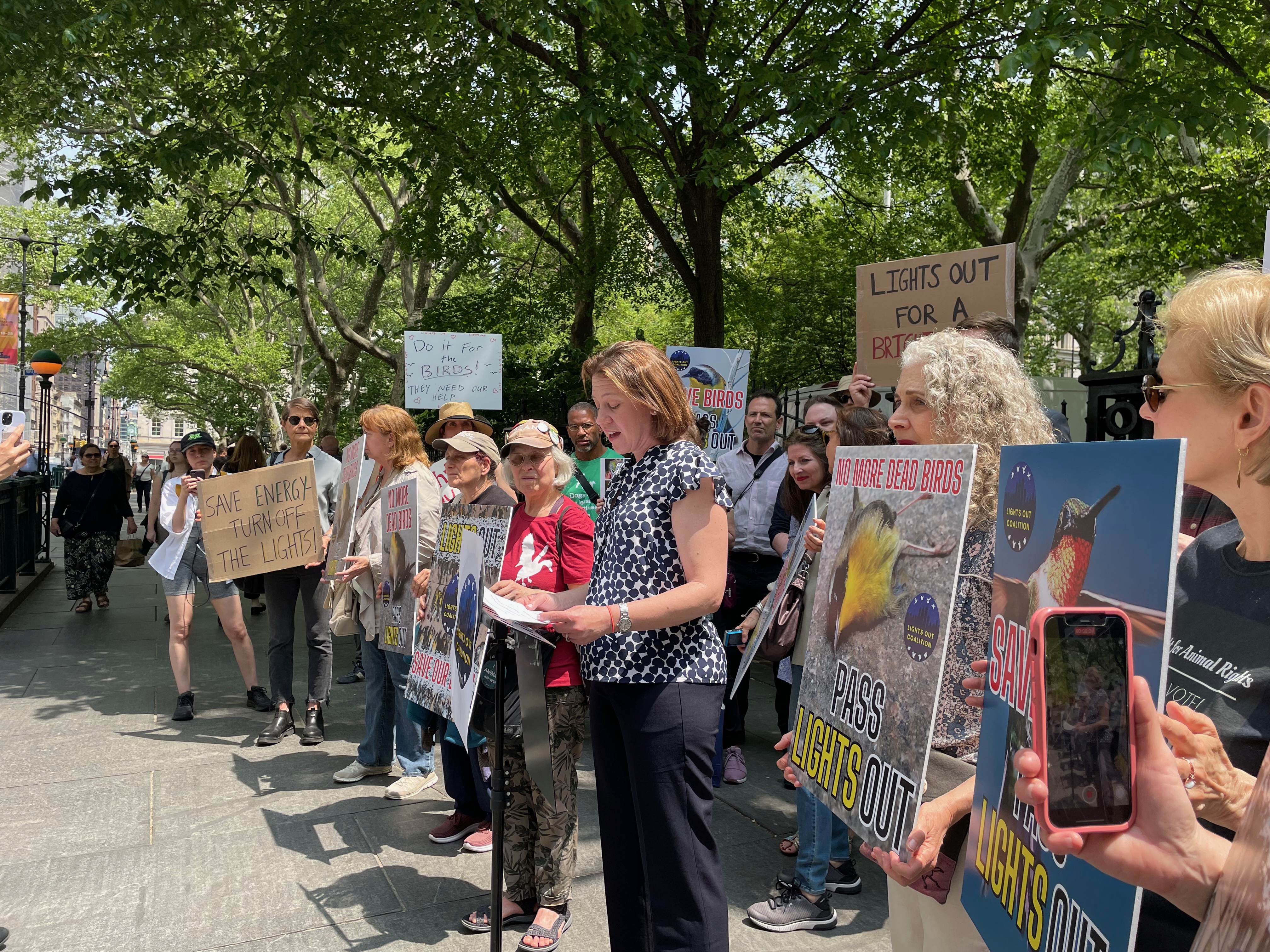 Lights Out advocates participate in a rally at City Hall to support Lights Out legislation. Photo: NYC Bird Alliance