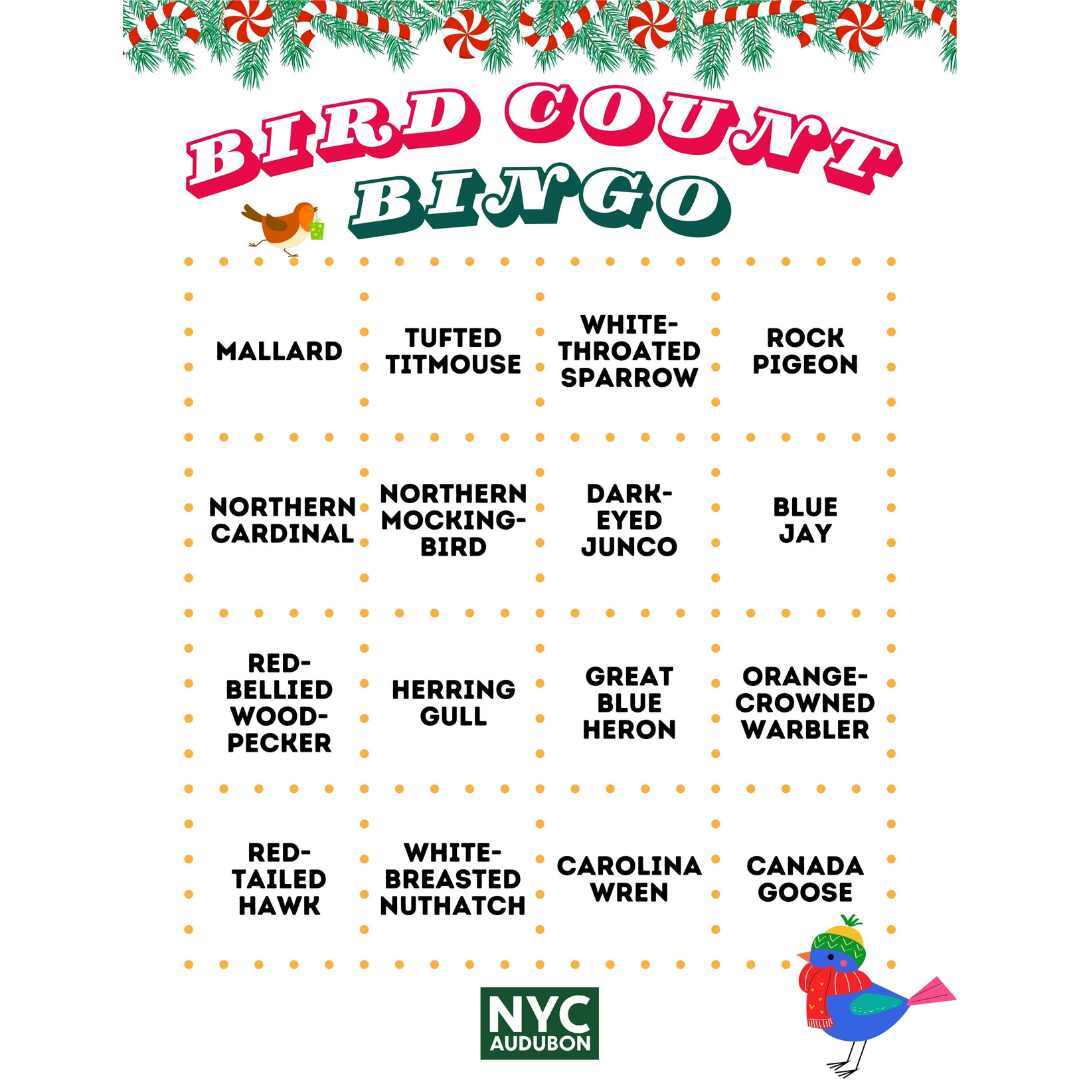Christmas Bird Count Bingo Card B. Graphic by NYC Bird Alliance.