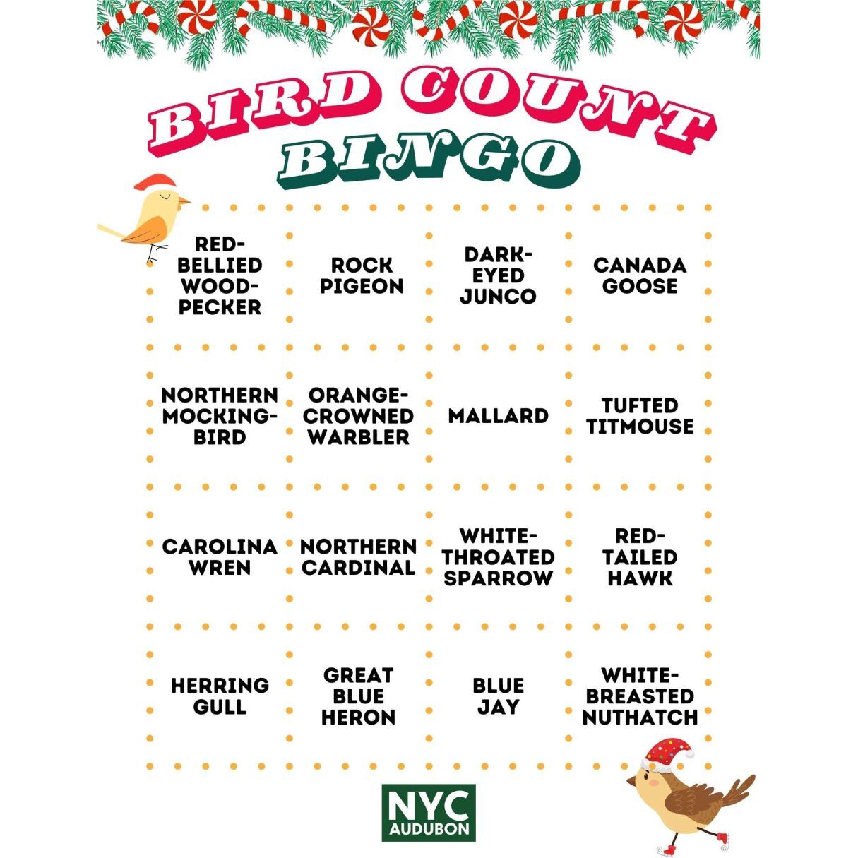 Christmas Bird Count Bingo Card A. Graphic by NYC Bird Alliance.
