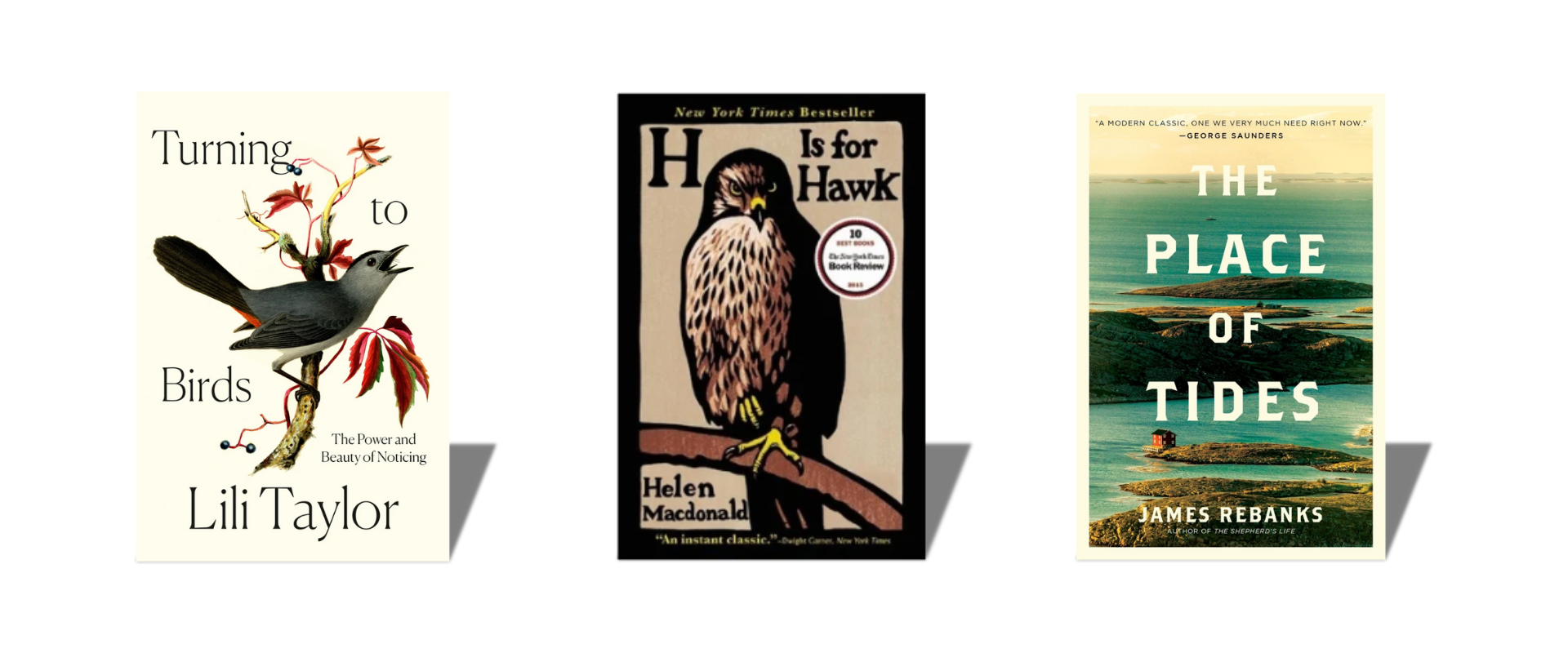 Subscribe to our eGret eNewsletter for monthly Feathered Finds.