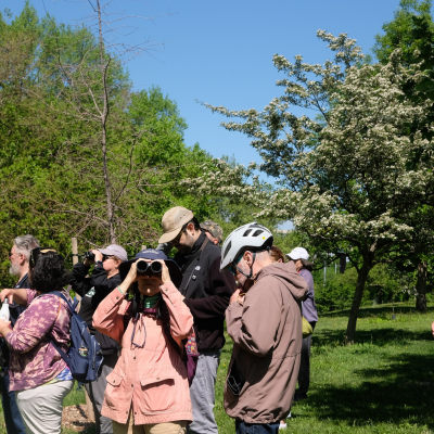 Photo courtesy of Randall's Island Park Alliance