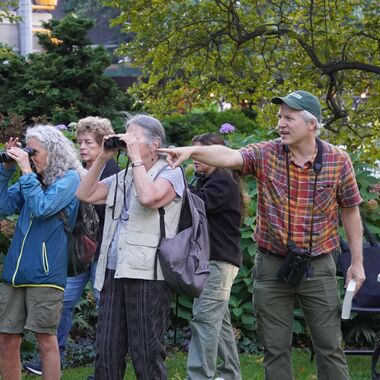 Bird guide Tod Winston points out an American Redstart at Jefferson Market Garden.