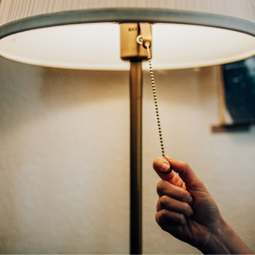 Turning out the lights saves birds' lives. Photo courtesy of Con Edison