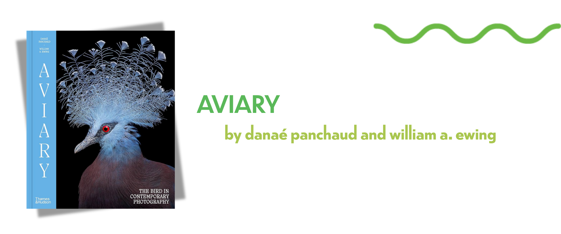 Aviary: The Bird in Contemporary Photography by Danaé Panchaud and William A. Ewing