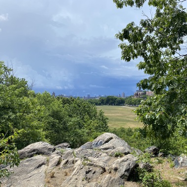 The varied terrain of Van Cortlandt Park provides habitat for woodland, wetland, and grassland birds. <a href="https://www.flickr.com/photos/turducken/50069668106/" target="_blank">Photo</a>: TheTurducken/<a href="https://creativecommons.org/licenses/by/2.0/" target="_blank" >CC BY 2.0</a>