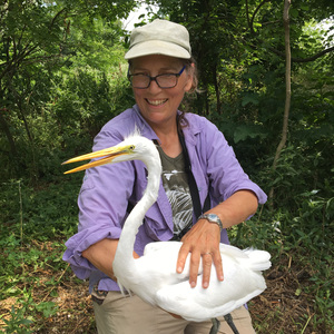 Susan Elbin, PhD - Conservation Scientist Emerita