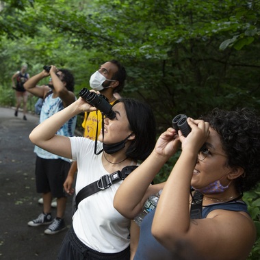 A group watches birds while hiking in Central Park. Photo: Luke Franke / Audubon