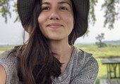 Andrea Trigueros - Seasonal Collision Monitor
