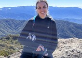 Michelle Talich - Seasonal Collision Monitor