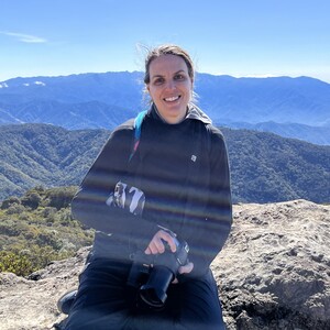 Michelle Talich - Seasonal Collision Monitor
