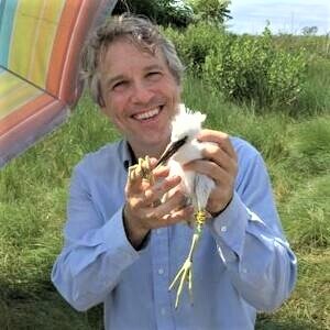 Tod Winston - Birding Guide and Urban Biodiversity Specialist