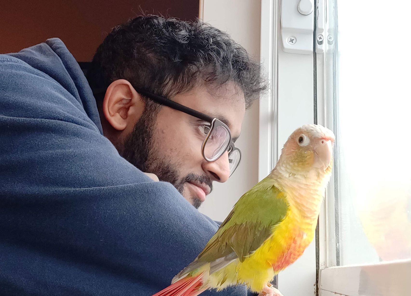 Project Safe Flight volunteer Jairus James at the window with his Pineapple Green Cheek Conure, Apple. Photo: Jairus James